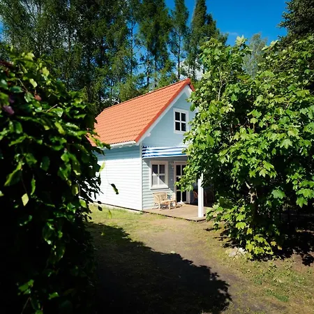Kwiat Paproci * Ryn (Warmian-Masurian)