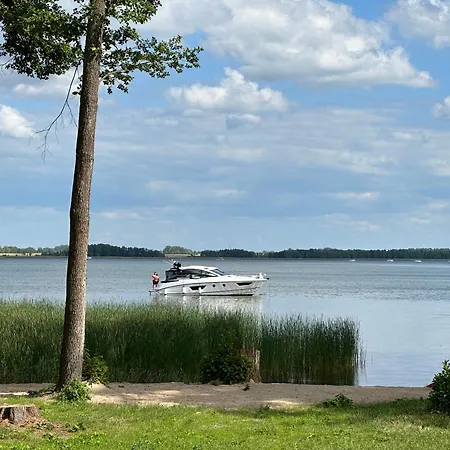 Kwiat Paproci Ryn (Warmian-Masurian)