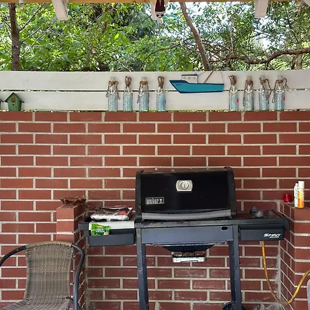 Kwiat Paproci * Ryn (Warmian-Masurian)