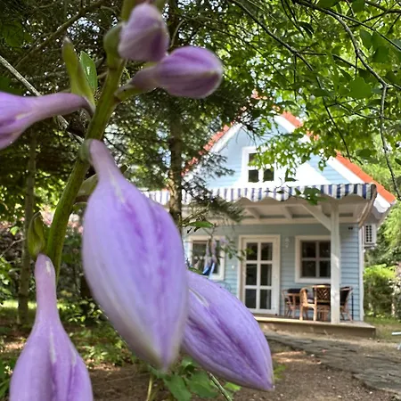 Apartamento Kwiat Paproci Ryn (Warmian-Masurian)