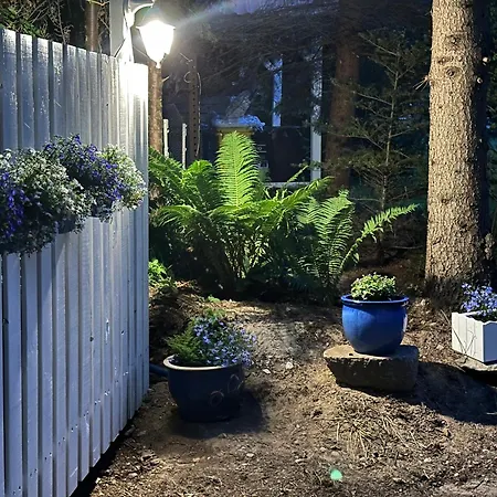 Kwiat Paproci Apartamento