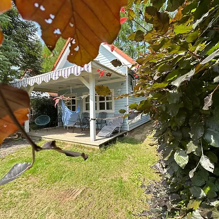 Kwiat Paproci Apartamento