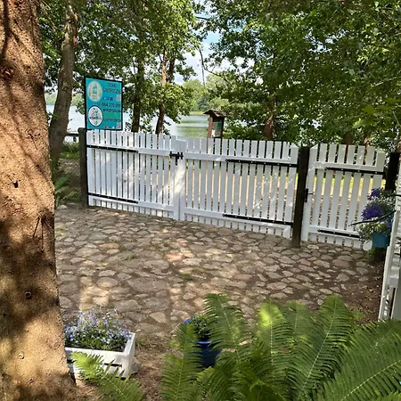 Kwiat Paproci Рын