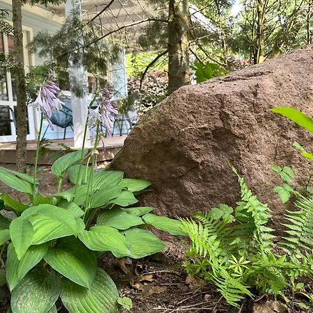 Апартаменты Kwiat Paproci