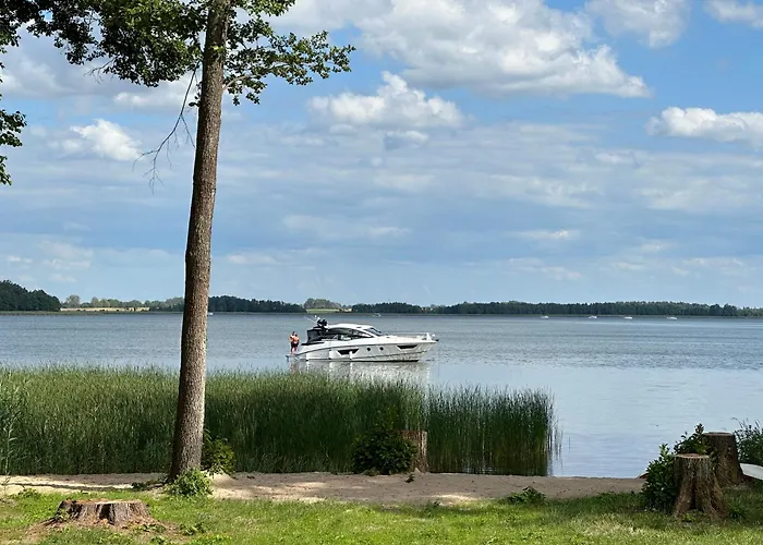 Kwiat Paproci Рын