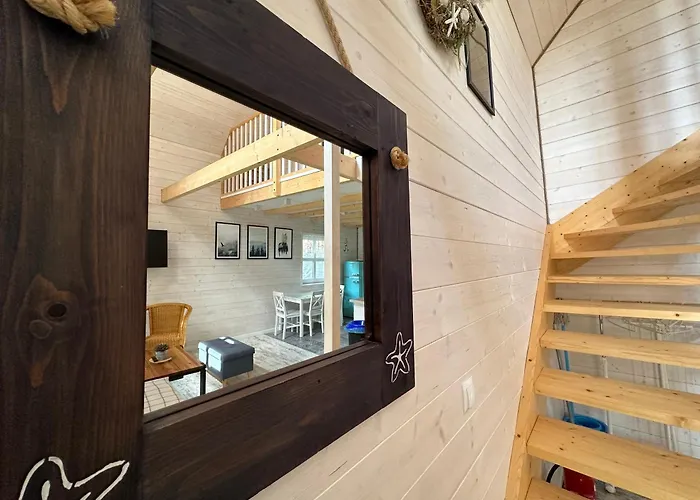 Kwiat Paproci Рын