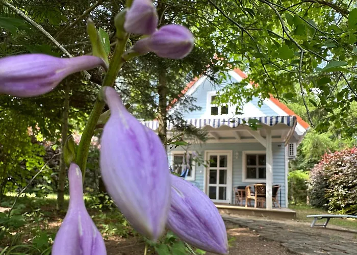 Апартаменты Kwiat Paproci Рын