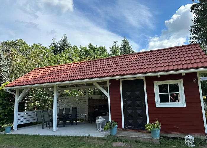 Kwiat Paproci * Рын