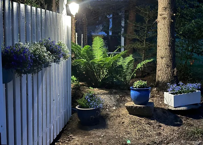 Kwiat Paproci Апартаменты