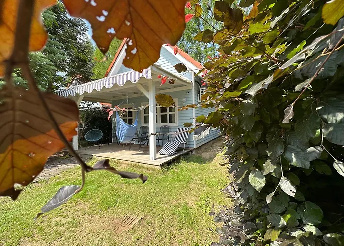 Kwiat Paproci Апартаменты