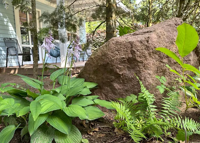 Апартаменты Kwiat Paproci